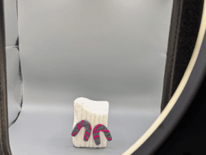 A pair of handmade botanical polymer clay earrings positioned inside a professional white photography lightbox with LED strip lighting.
