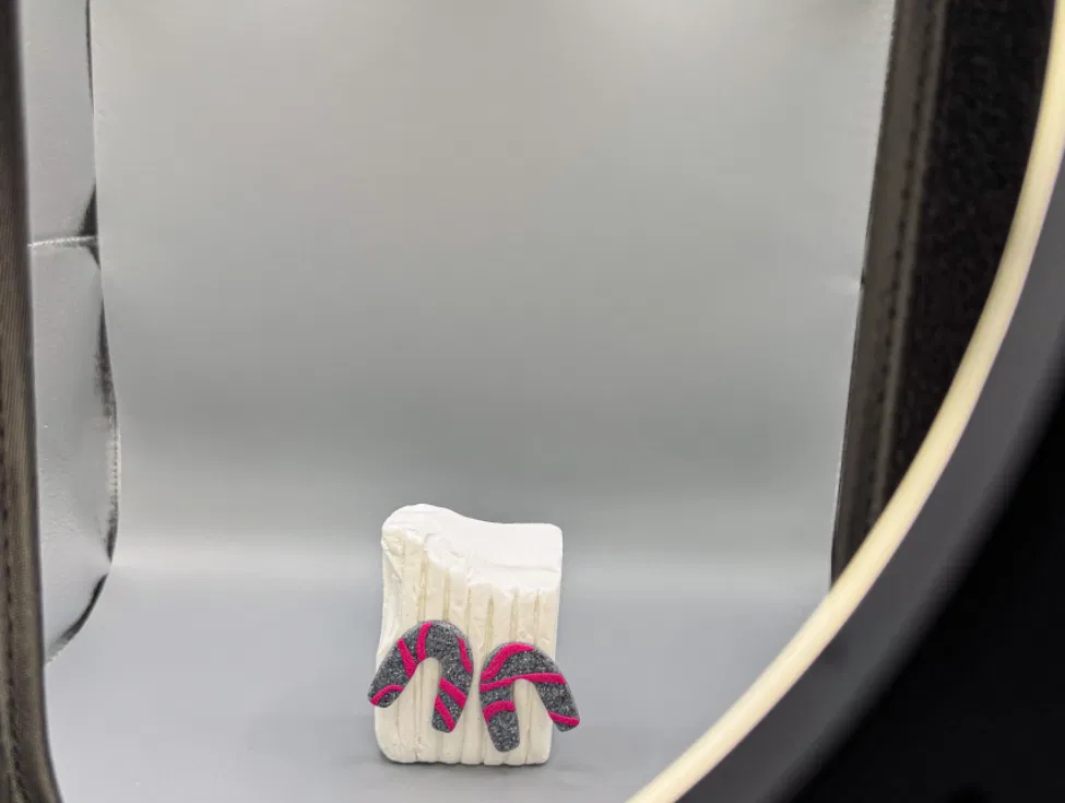 A pair of handmade botanical polymer clay earrings positioned inside a professional white photography lightbox with LED strip lighting.